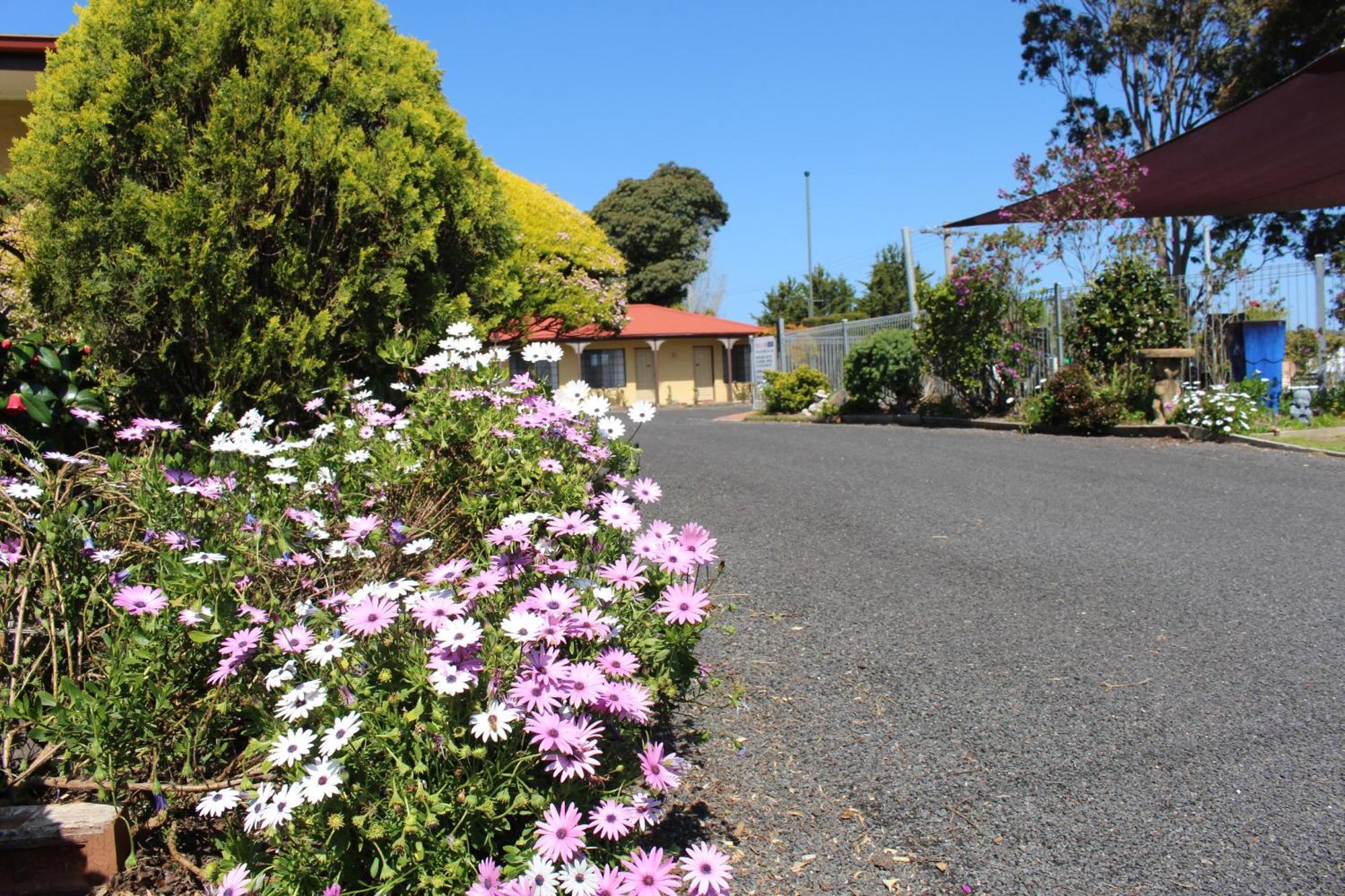 Colonial Motor Inn Pambula Esterno foto