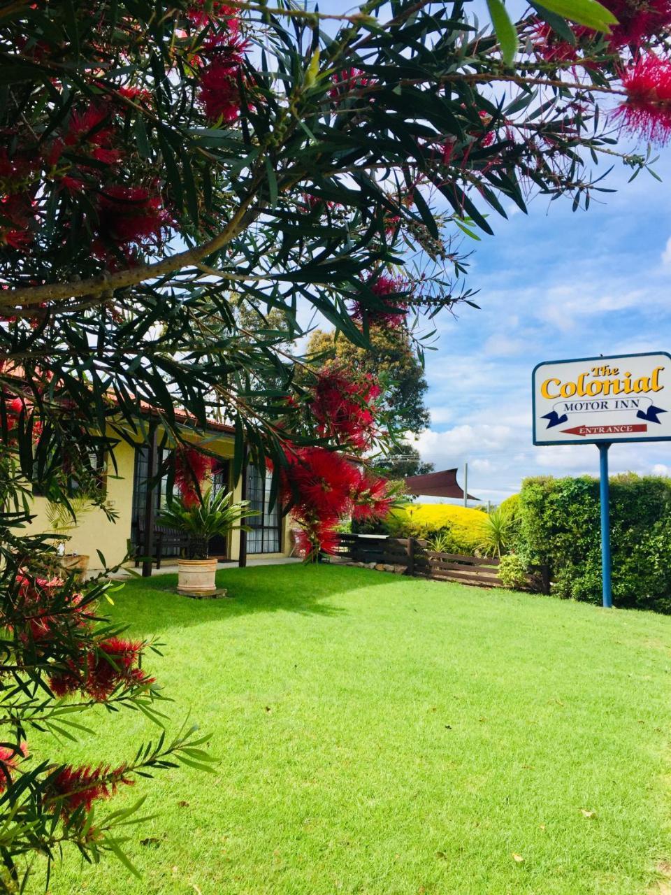 Colonial Motor Inn Pambula Esterno foto